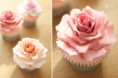 /album/fenykepgaleria/giant-rose-cupcakes-jpg/